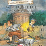 Aventurile lui Tom Sawyer (repovestire) - Hardcover - Mark Twain - Aramis, 
