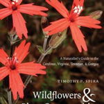 Wildflowers & Plant Communities of the Southern Appalachian Mountains & Piedmont: A Naturalist's Guide to the Carolinas, Virginia, Tennessee, & Georgi (Southern Gateways Guides (Paperback))