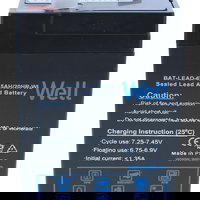 Acumulator plumb acid 6V 4.5AH Well, well