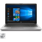 Laptop HP 250 G7 cu procesor Intel® Core™ i5-1035G1 pana la 3.60 GHz, 15.6", Full HD, 8GB, 256GB SSD, NVIDIA GeForce MX110 2GB, Windows 10 Pro Silver
