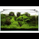 AQUAEL Leddy Slim 32W Plant 80-100 cm