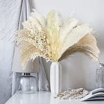 Buchet de pampas Rayousey, flori uscate, alb/natur, 61 fire