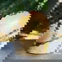 Septaria structura forma libera m2, piatra dragonului, druzy.ro - Cristale, Home Deco