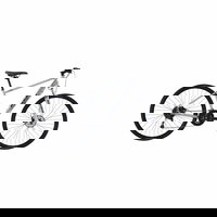 Bicicleta cross pentru adulti, Fuji, Traverse 1.3, Gri, 19