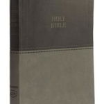 KJV, Thinline Bible, Large Print, Imitation Leather, Red Letter Edition, Hardcover - Thomas Nelson