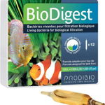 Bacterii acvariu Bio Digest 12 fiole, 220762, Prodibio, Prodibio