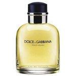 Apa de toaleta Dolce & Gabbana Pour Homme, 75 ml, pentru barbati