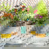 Sistem automat de irigare prin picurare pentru ghivece Regott, InnovaGoods, USB