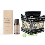 Set Ulei Parfumat Tabaco Vanilla 10ml AROMATIQUE + Suport Mare pentru Ulei Aromat Elefant BISPOL, EXCLUSIV