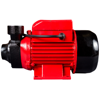 Pompa de apa curata Raider WP60, motor electric, 550 W,  40 l/min debit, Raider
