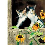 Puzzle SunsOut - Susan Bourdet: Kittens and Sunflowers, 550 piese (Sunsout-28975), SunsOut