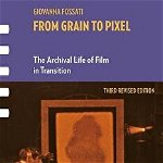 From Grain to Pixel: The Archival Life of Film in Transition (Framing Film)