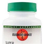 Super Lion's Mane 120tb - Mushroom Wisdom Inc - Secom, Mushroom Wisdom Inc