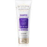 Sampon pentru parul alb, grizonat si blond Yellow Remover Il Salone, 250 ml, Alfaparf