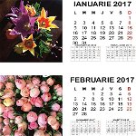 Calendar 2017, de birou, 12 file, 22.5 x 10.5cm, FLORI