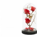 Aranjament 3 Trandafiri Criogenati Rosii Queen Roses in cupola de sticla, Queen Roses