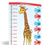 Metru girafă 1,4 metri - planșă 50x70 - Proiecte Tematice, edituradiana.ro