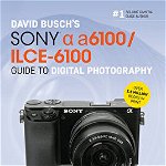 David Busch's Sony Alpha A6100/Ilce-6100 Guide to Digital Photography, Paperback - David D. Busch