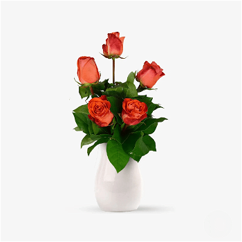 Buchet de 5 trandafiri portocalii - Standard, Floria