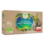 Ceai recomandat pentru acnee Bio (25 x 2 g) 50 g Dary Natury, Organicsfood