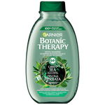 Garnier Botanic Therapy, șampon revigorant pentru păr normal cu tendință spre gras, ceai verde, 400 ml, Garnier