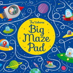 Big Maze Pad (Tear-off Pads)