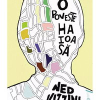 O Poveste Haioasa, Ned Vizzini - Editura Art