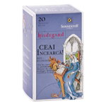 Ceai Bio Hildegard Incearca!, 20 plicuri, Sonnentor