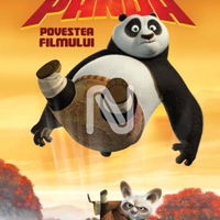 Kung Fu Panda - Povestea filmului, Nemira