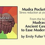 Mudra Pocket Cards: Stress Reduction at Your Fingertips [With Bag] - Emily Fuller Williams