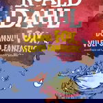 Domnul Fox, vulpoi fantastic - format mic, Art