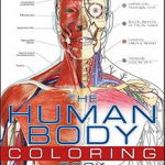 The Human Body Coloring Book