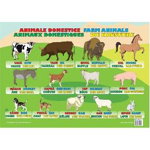 Planșă - Animale domestice - Hardcover - Ars Libri, 