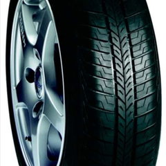 15565 r13 73t tl touring, BFG