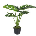 Floare artificiala in ghiveci Philodendron 60 cm x 60 h, Decorer