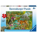 Puzzle Padure In India, 60 Piese, Ravensburger