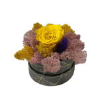 Aranjament Floral, cutie cu trandafir criogenat pe pat de licheni naturali stabilizati, FashionForYou