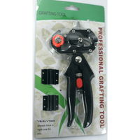 Primele mele povesti clasice. Ali baba si cei patruzeci de hoti, Litera