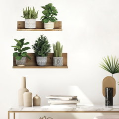 Autocolant de perete 60x35 cm 3D effect Green Plants – Ambiance, Ambiance Autocolant de perete 60x35 cm 3D effect Green Plants – Ambiance, Ambiance