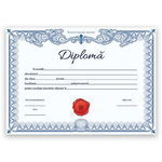 Diploma pentru rezultate deosebite (DZC01), DZC - Diplome