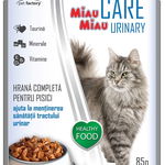 Pachet Hrana Umeda pentru Pisici, cu peste,12 plicuri x 85 g, MIAU MIAU CARE URINARY, Miau Miau