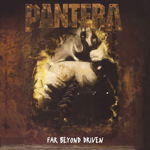 Far Beyond Driven - Vinyl | Pantera, Rhino Records
