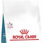 ROYAL CANIN VHN Hypoallergenic Hrană uscată pentru pisici, Royal Canin Veterinary Diet