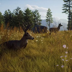 Joc video PlayStation 5 THQ Nordic Way of the Hunter Wild Expeditions (FR), THQ Nordic Joc video PlayStation 5 THQ Nordic Way of the Hunter Wild Expeditions (FR), THQ Nordic