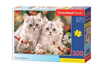 Puzzle Castorland - Persian Kittens, 200 piese (222131), Castorland