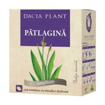 Ceai de patlagina, 50g, Dacia Plant, Dacia Plant