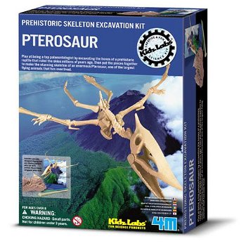 Set Arheologic Pterosaur