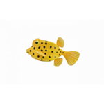 Figurina Peste Cubicus Boxfish S