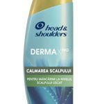 Sampon HEAD&SHOULDERS Derma X Pro Calmare, 300ml
