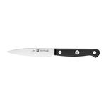 Cutit pentru decojit 10 cm Twin Gourmet - Zwilling